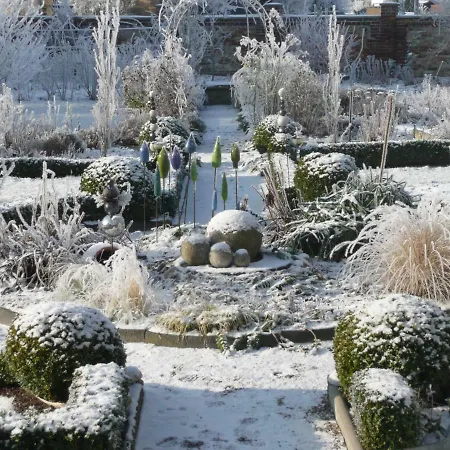 Homestay - Messe - Monteure